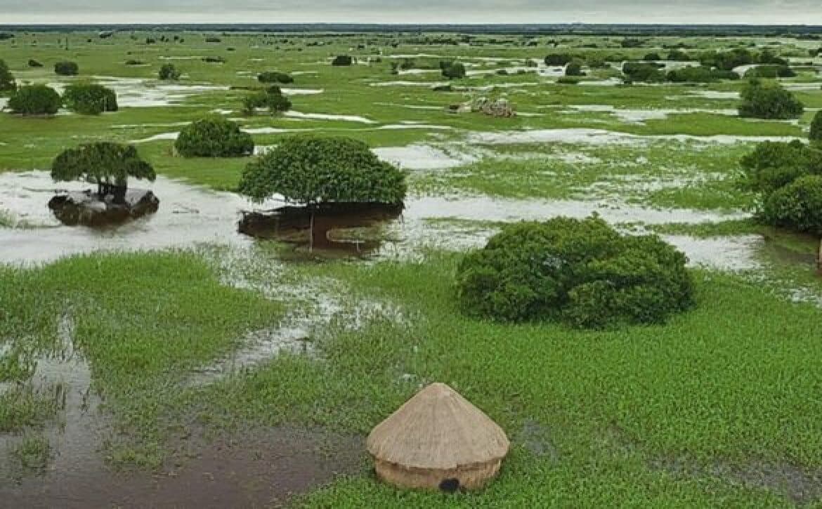 Iconografia histórica relacionada aos Goitacá e sua adaptação ao ambiente lacustre