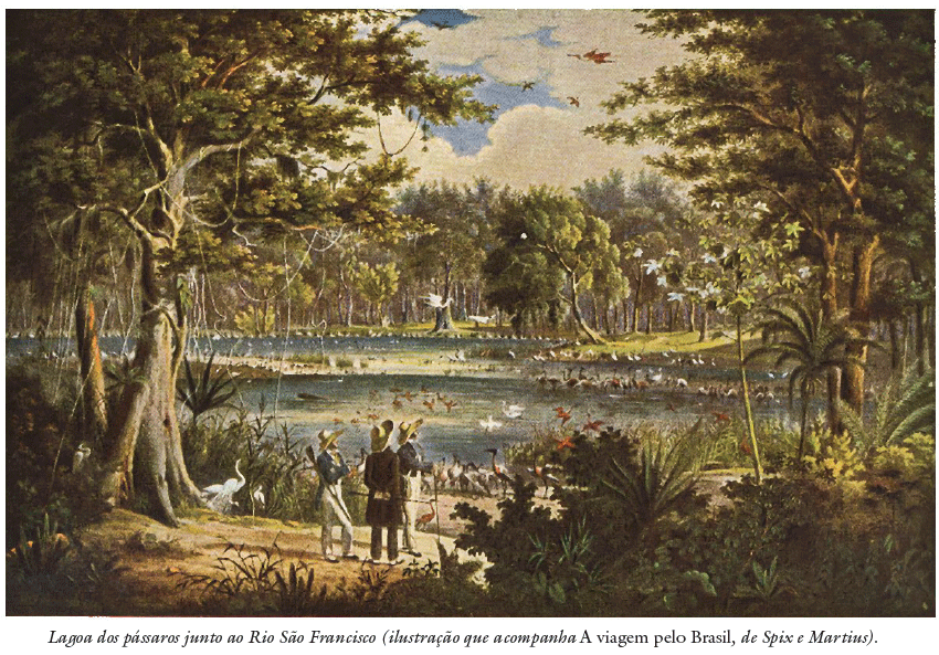 Ilustração histórica de guerreiros goitacá em confronto na planície