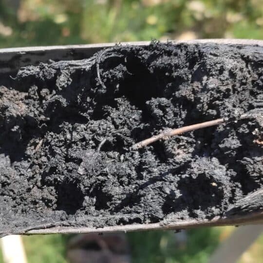 Perfil de camada de turfa em Campos dos Goytacazes