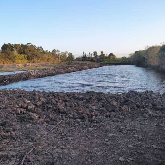 Território das turfeiras usado como base do Carbon2Coin