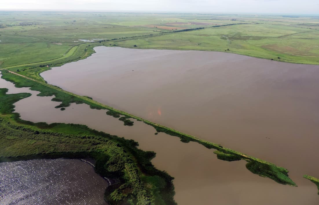 Registro de campo 10 das turfeiras de Campos