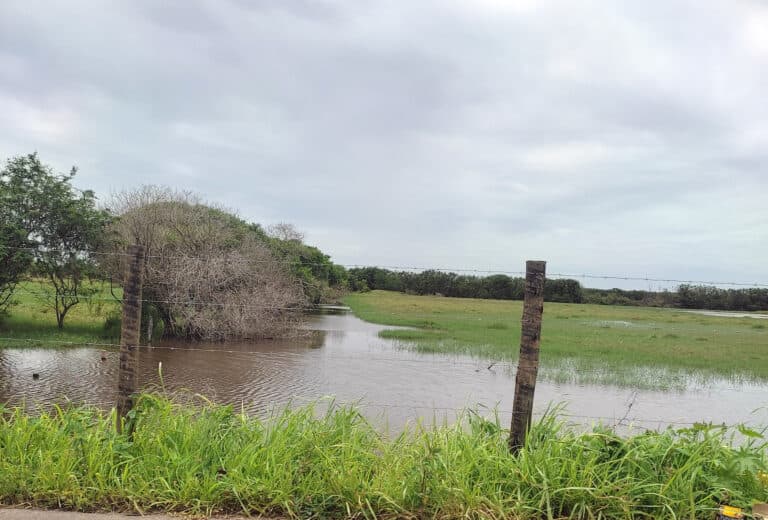 Dinamica hidrica em area alagada de Campos dos Goytacazes
