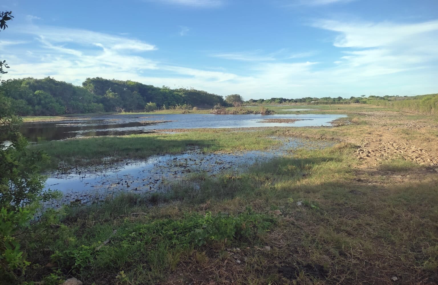 Paisagem de turfeira tropical monitorada pelo CPA Tia Telinda