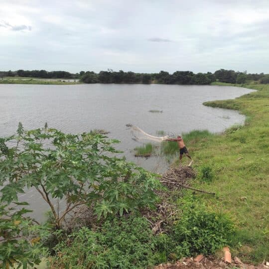 Área de turfeira em Campos dos Goytacazes próxima à Lagoa Feia