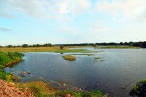 Registro de campo 2 das turfeiras de Campos