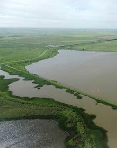 Registro de campo 5 das turfeiras de Campos