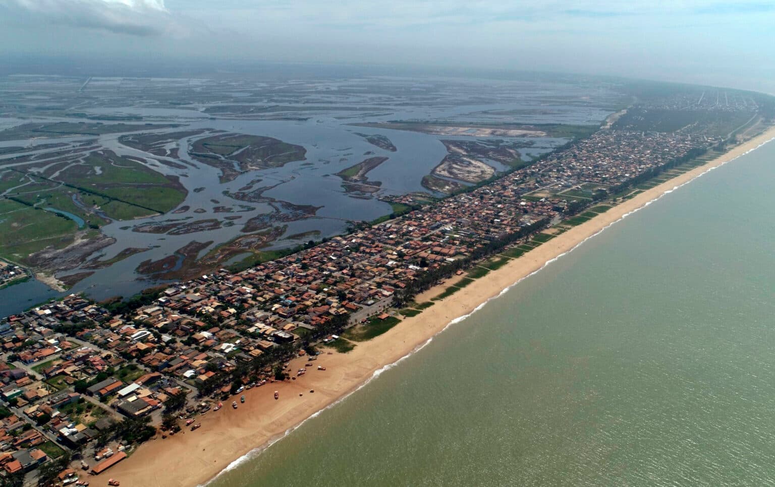 Registro de campo 6 das turfeiras de Campos