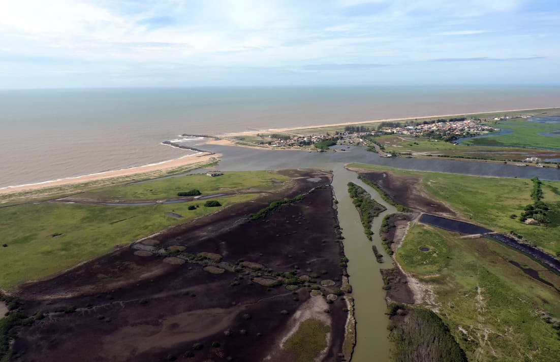 Registro de campo 7 das turfeiras de Campos