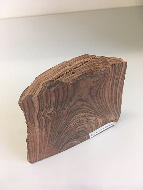 Dalbergia cearensis — Dalbergia cearensis